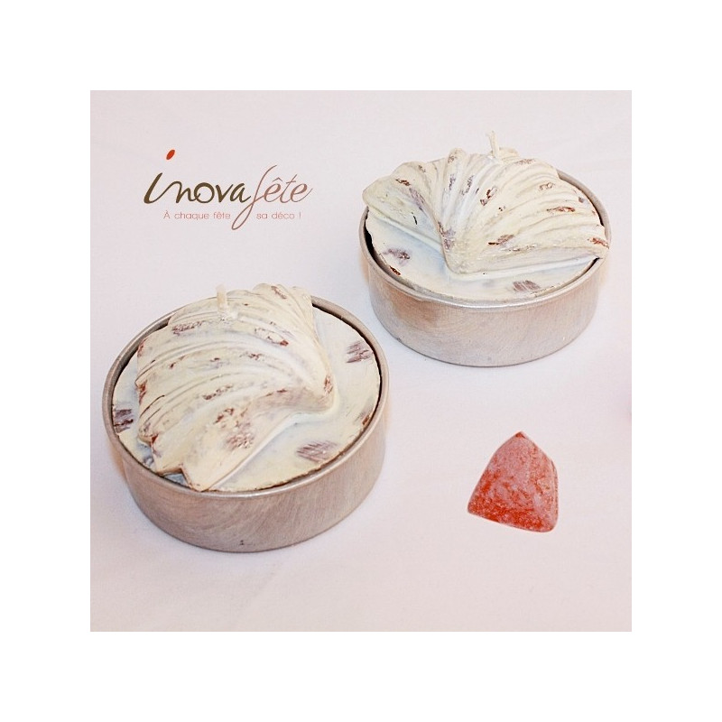 Bougies coquillage /2 Bougies coquillage /2