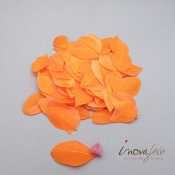 Plume plate orange - Label Fête