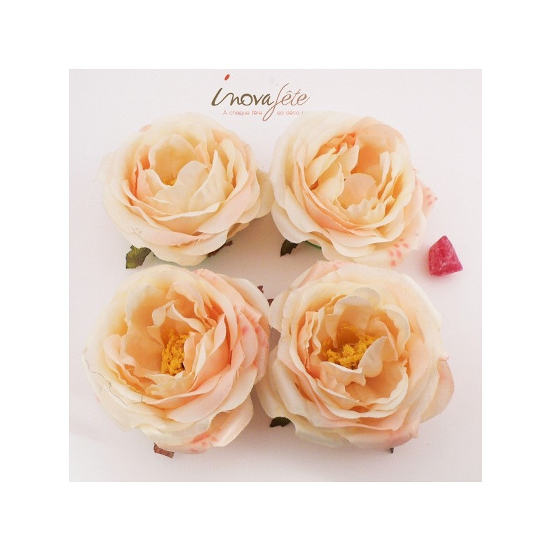 Pivoine ivoire /4 Pivoine ivoire /4