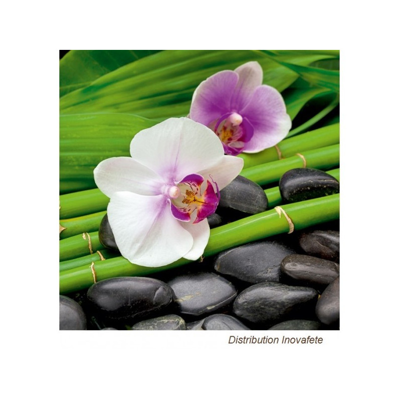 Serviettes papier décor orchidée 33x33 cm - Label Fête Serviettes papier décor orchidée 33x33 cm - Label Fête