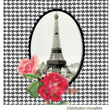 Serviettes papier décor Paris noir & blanc 33x33 cm - Label Fête