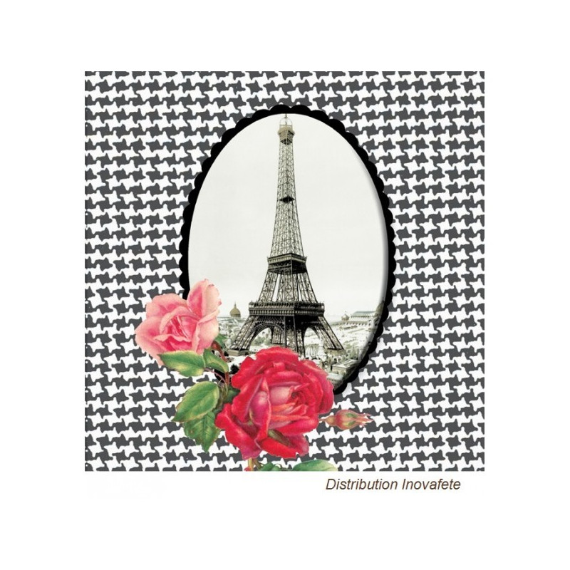 Serviettes papier décor Paris noir & blanc 33x33 cm - Label Fête