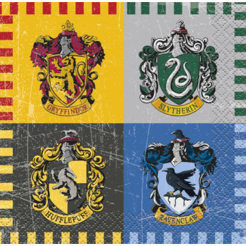 serviettes sorcier harry potter Label Fête Hillion U59101 59101