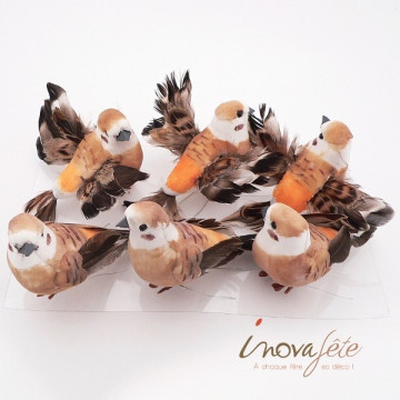 Oiseau orange chocolat /6 - Label Fête