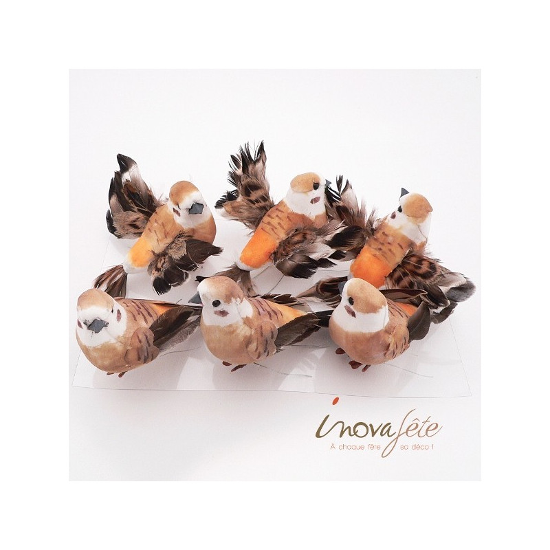 Oiseau orange chocolat /6 - Label Fête