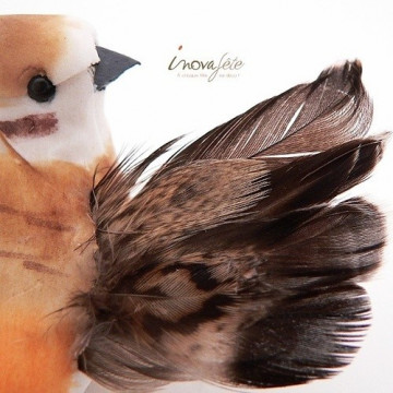 Oiseau orange chocolat /6 - Label Fête