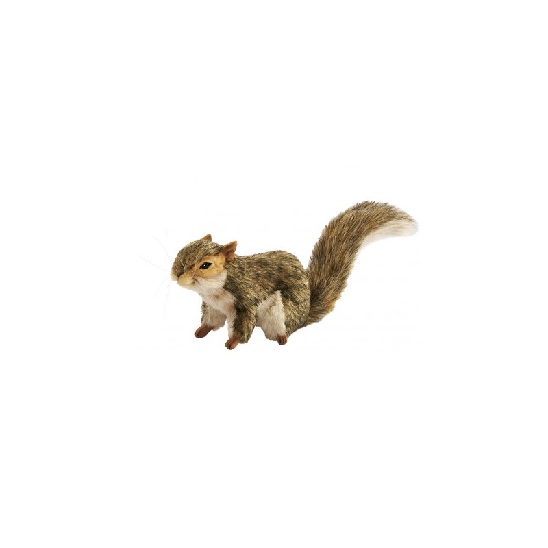 Peluche Écureuil des bois - Label Fête Peluche Écureuil des bois - Label Fête