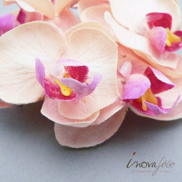 Orchidée pèche /12 - Label Fête