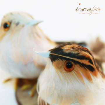 Couple d'oiseaux sur rondin de bois - Label Fête