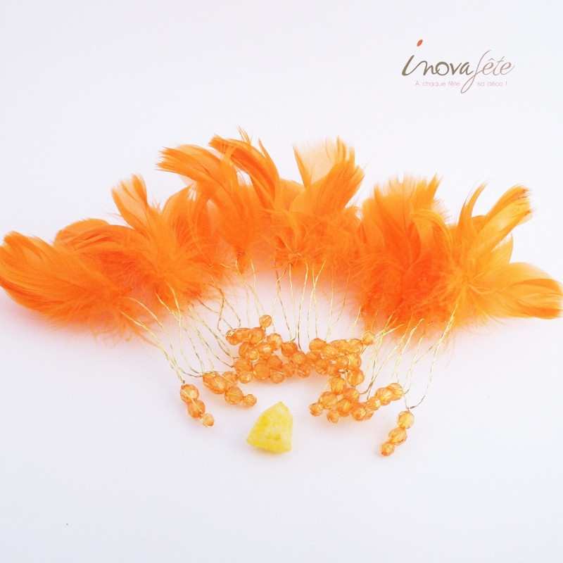 Guirlande de plumes oranges avec perles