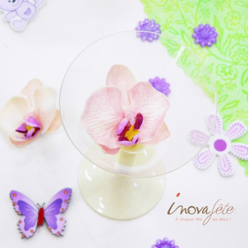 Papillon violet - Label Fête