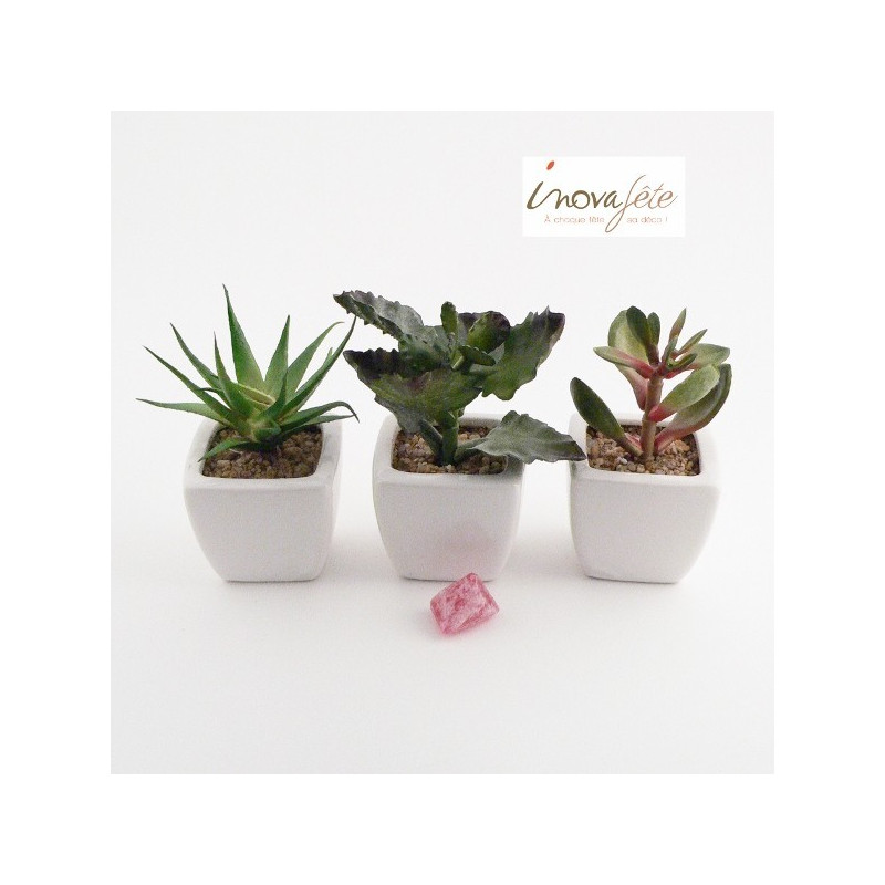 Mini cactus artificiel /3 Mini cactus artificiel /3