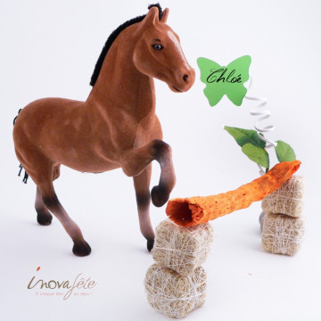 Décor Cheval - Label Fête