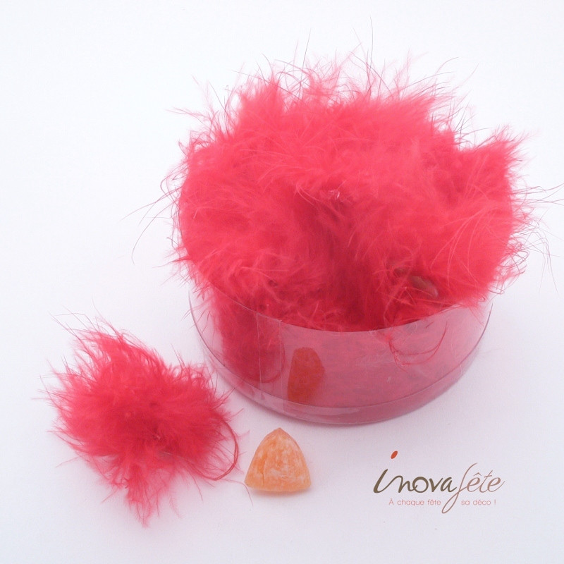 Plumes rouges avec pastille autocollante /36 - Label Fête Plumes rouges avec pastille autocollante /36 - Label Fête