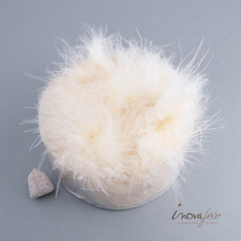 Plumes ivoires avec pastille autocollante /36 - Label Fête Plumes ivoires avec pastille autocollante /36 - Label Fête