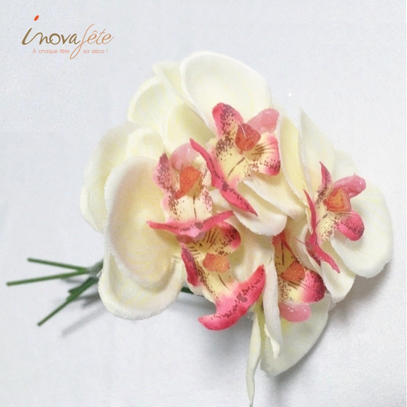 Orchidée ivoire sur tige /6 - Label Fête