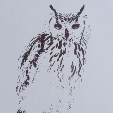 Dessin Illustration Hibou par ptite-lu-heure