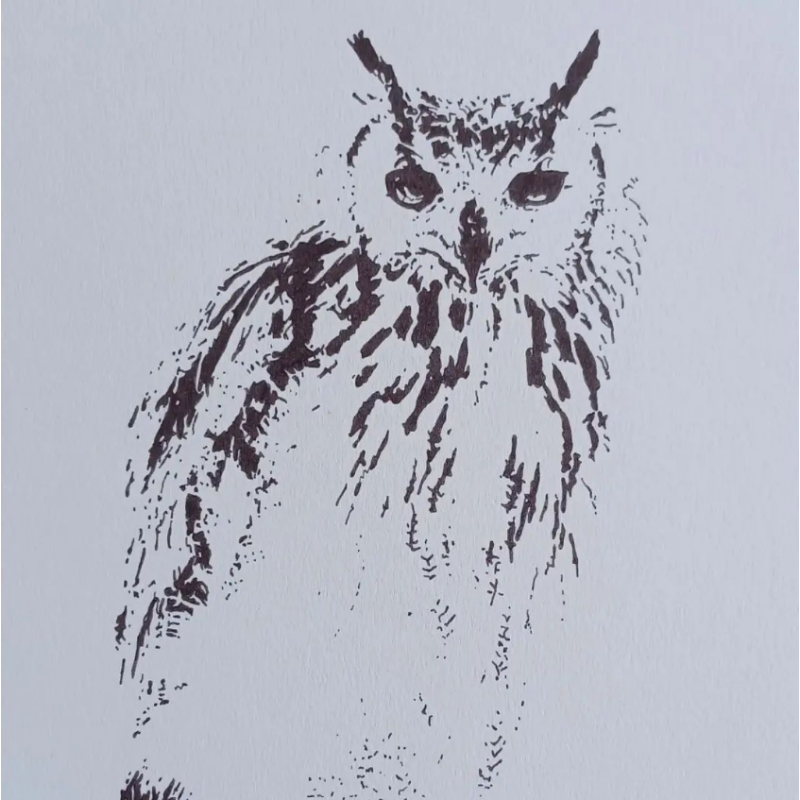 Dessin Illustration Hibou par ptite-lu-heure