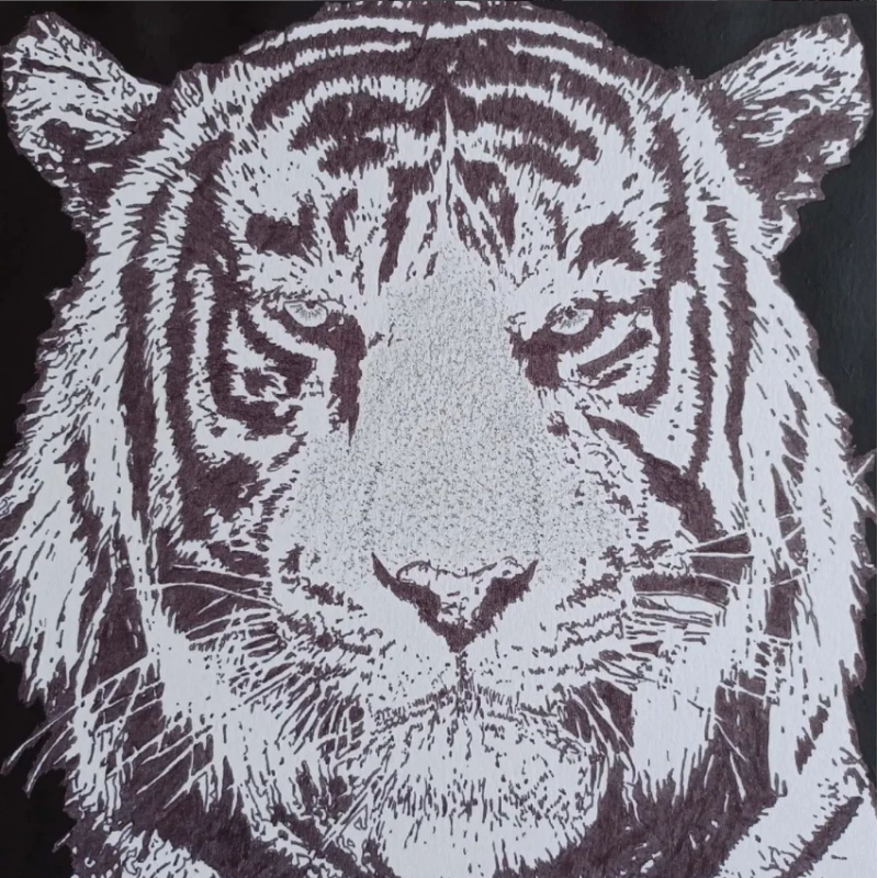 Dessin Illustration Tigre par ptite-lu-heure