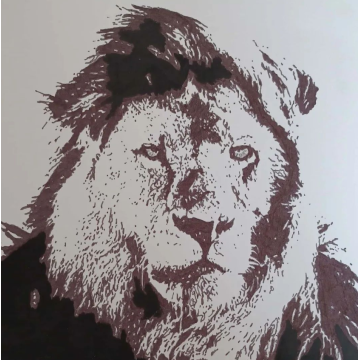 Dessin Illustration Lion par ptite-lu-heure