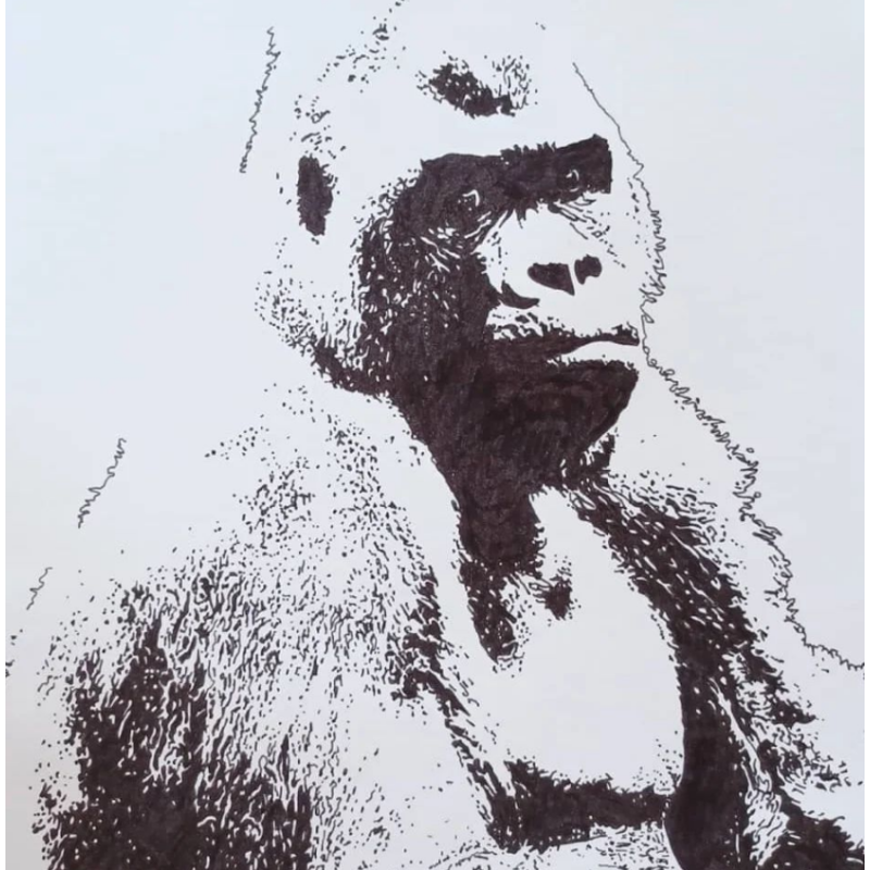 Dessin Illustration Gorille par ptite-lu-heure