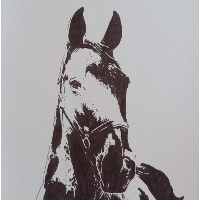 Dessin illustration cheval par ptite-lu-heure