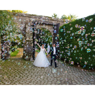 Machine à Bulles Professionnelle - Label Fête Hillion