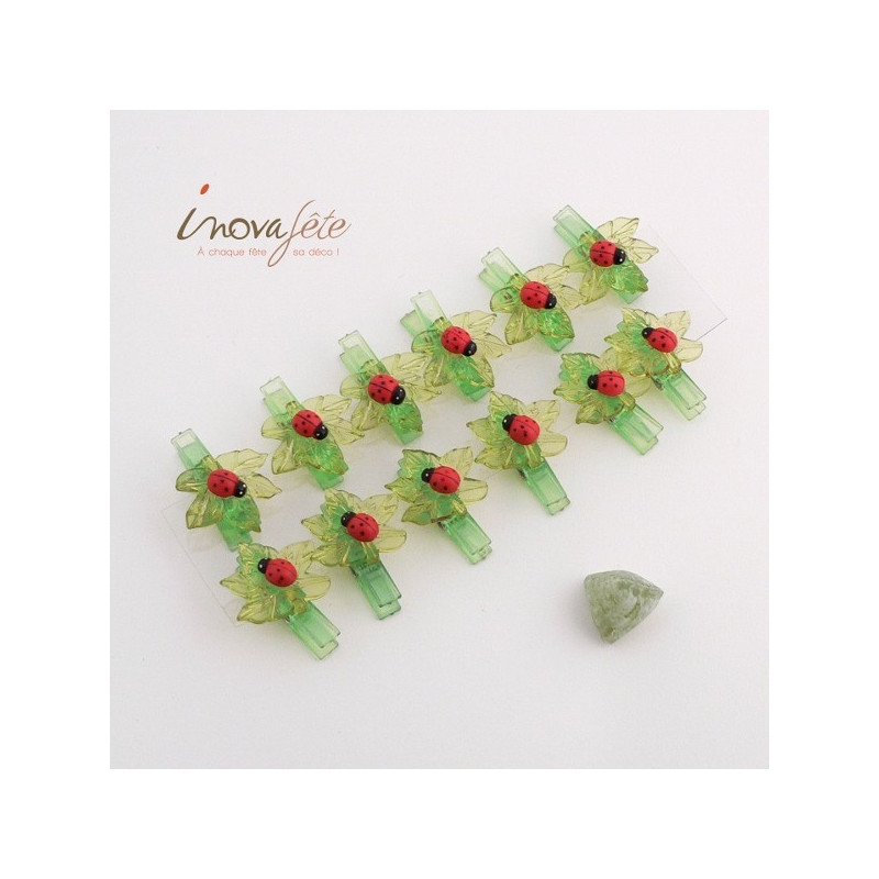 Pince coccinelle sur feuille /12 - Label Fête