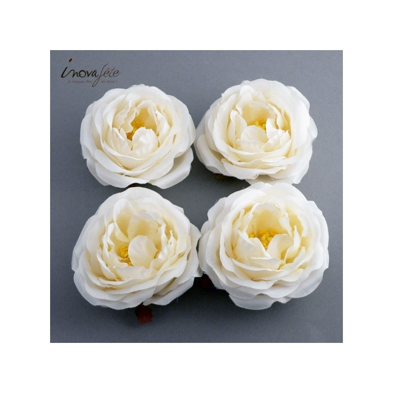 Pivoine blanche /4 Pivoine blanche /4