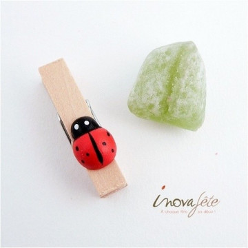 Pince coccinelle /18 - Label Fête